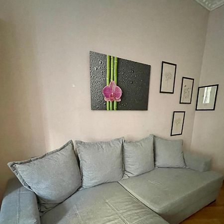 Gemutliche Wohnung Mit Super Lage Wien Exteriör bild